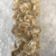 Whelk Meat Shipped