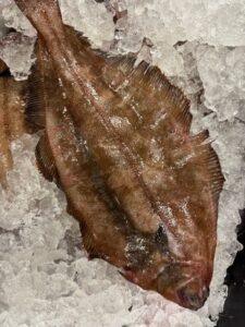whole fresh flounder