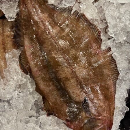 Whole Fresh Flounder<br>Complete with Head & Tail as pictured<br>- aprox 1-1.5 pounds per fish )