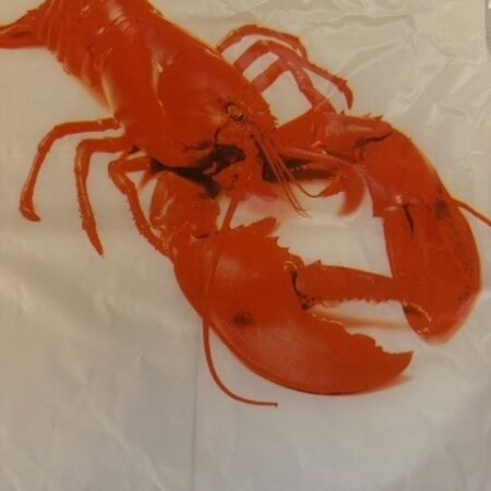 Plastic Lobster Bibs <BR>( Qty 6 per )