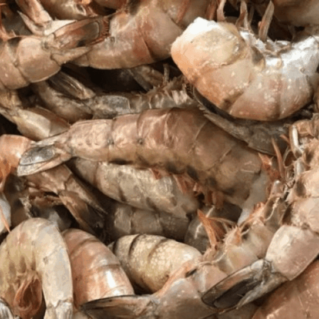 Fresh Cocktail Shrimp <BR>(U26-U30)<BR> Shell-on Uncooked