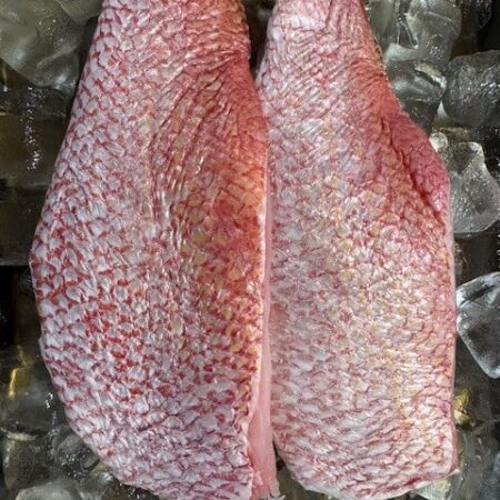 Fresh Wild Red Snapper Fillets <BR>( per pound )