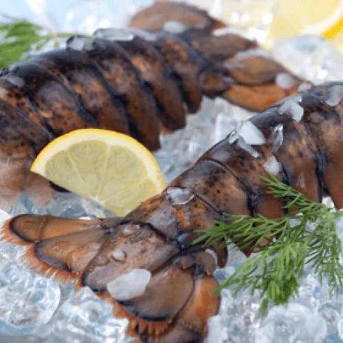 maine lobster tails – medium 12 oz -14.0 oz uncooked shell