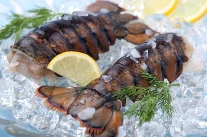 maine lobster tails – medium 12 oz -14.0 oz