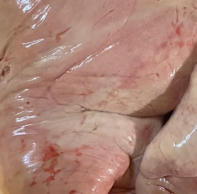 Fresh Monkfish Liver