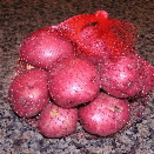small red potatoes