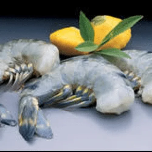 u6-u8 colossal shrimp