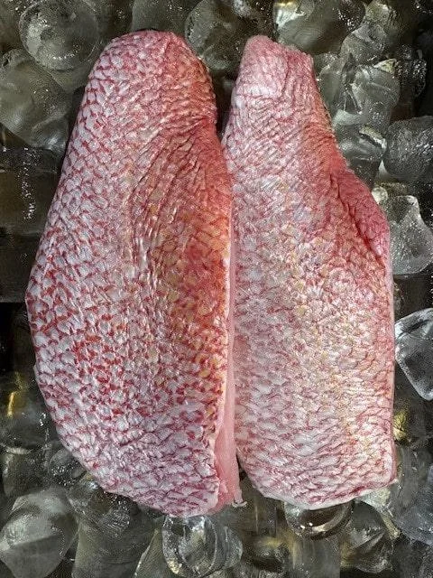 fresh wild red snapper fillets
