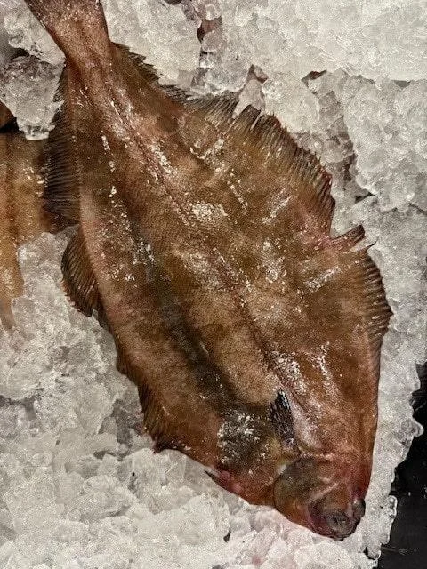 whole fresh flounder